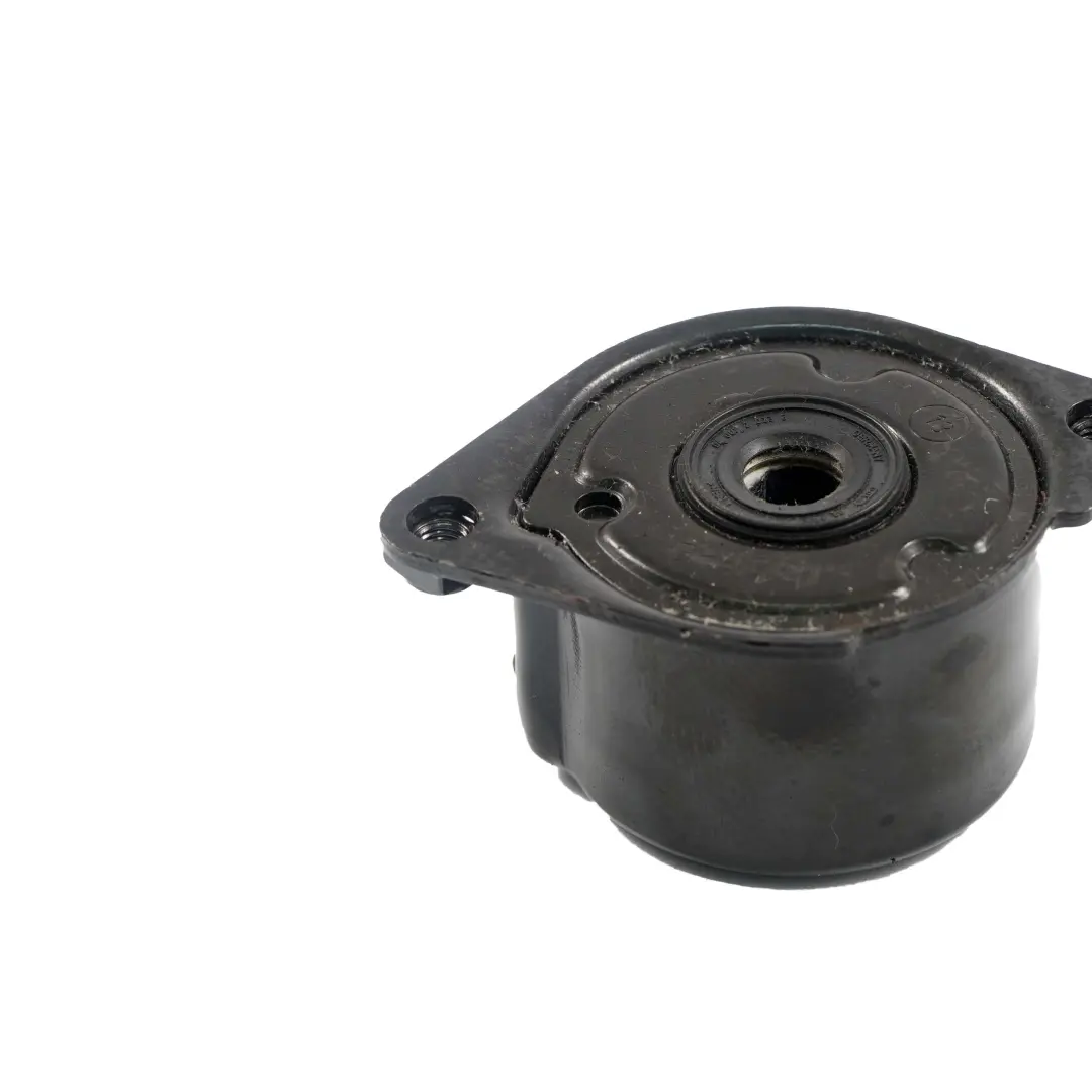 BMW E60 E61 E46 E90 E91 E65 E83 M47N M57N M57N2 Motor Riemenspanner - SKU 7786880-1 - Teilenummer 7786880