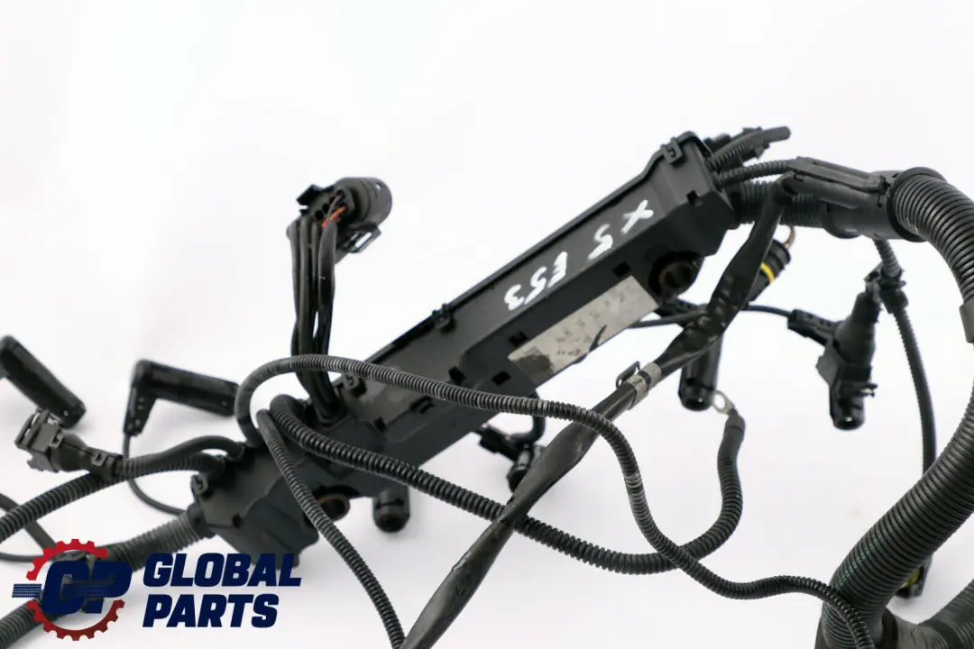 M57N Wiring Loom Harness Engine Automatic Gearbox to BMW X5 E53 3.0d with Part number 7796818 BMW X5 E53 3.0d M57N Wiring Loom Harness Engine Automatic Gearbox - SKU 7796818 - Part number 7796818