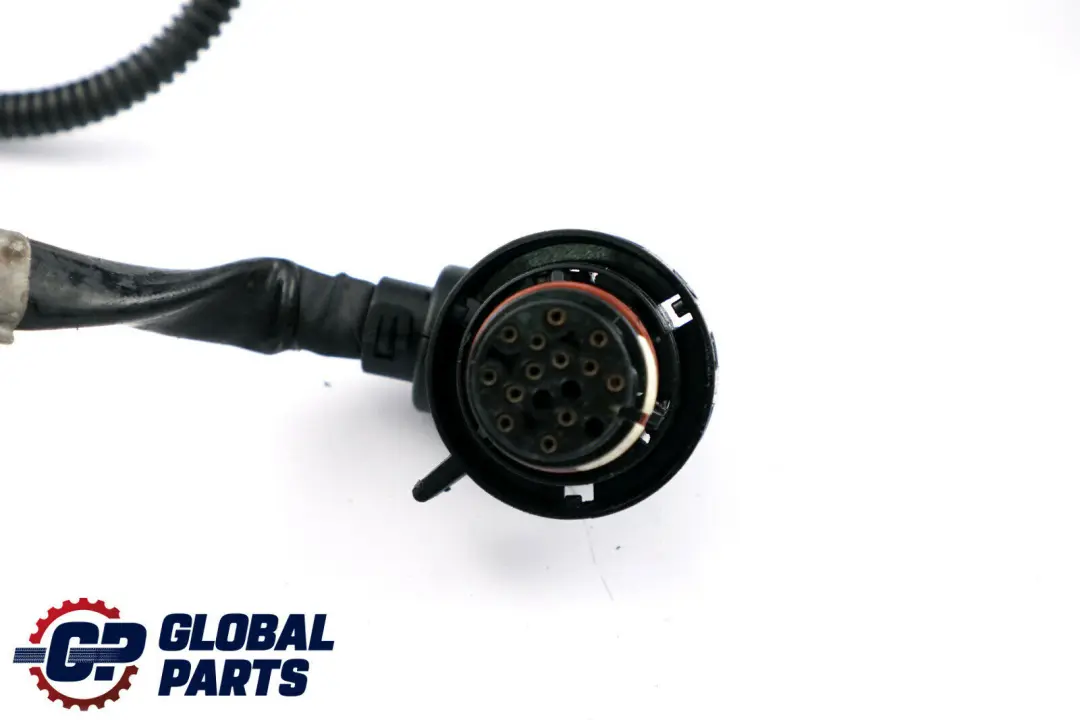 BMW X5 E53 3.0d M57N Mazo de cables Motor Caja de cambios automática - SKU 7796818 - Número de pieza 7796818