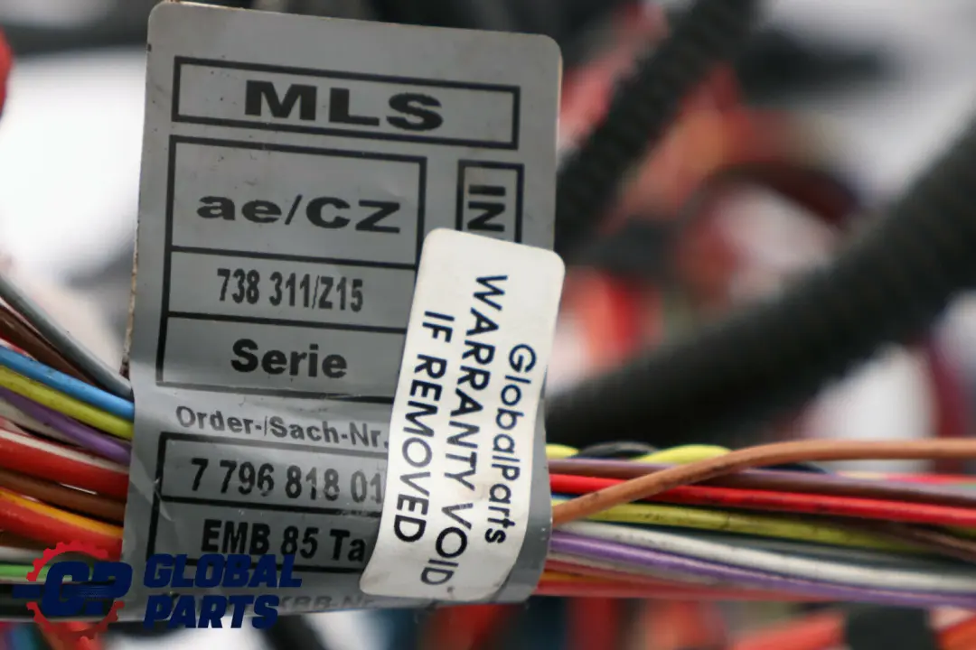 BMW X5 E53 3.0d M57N Mazo de cables Motor Caja de cambios automática - SKU 7796818 - Número de pieza 7796818