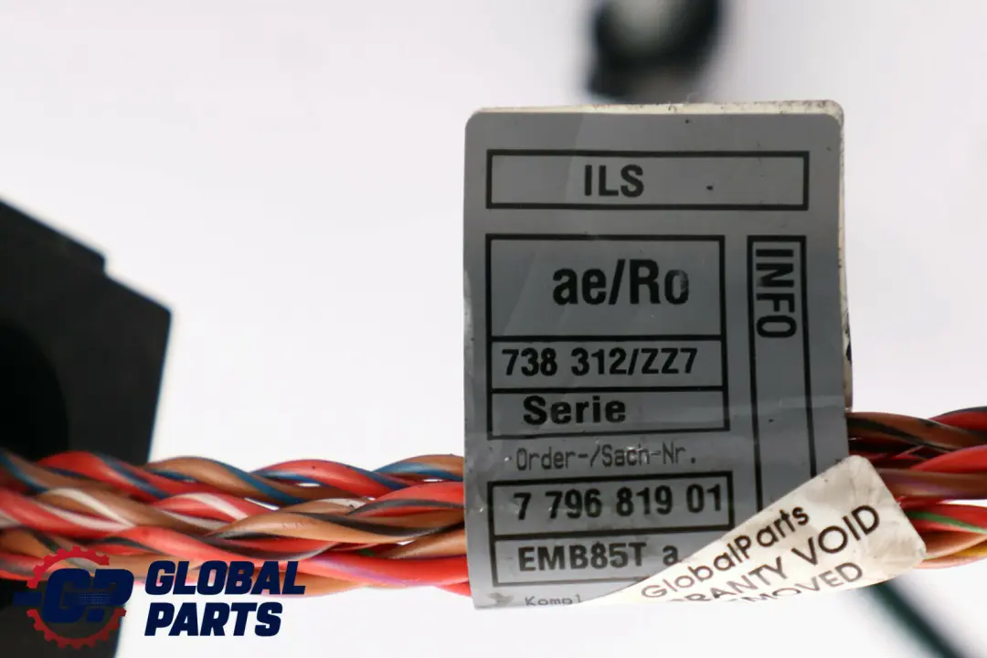 BMW X5 E53 3.0d M57N Mazo de cables Motor Caja de cambios automática - SKU 7796818 - Número de pieza 7796818