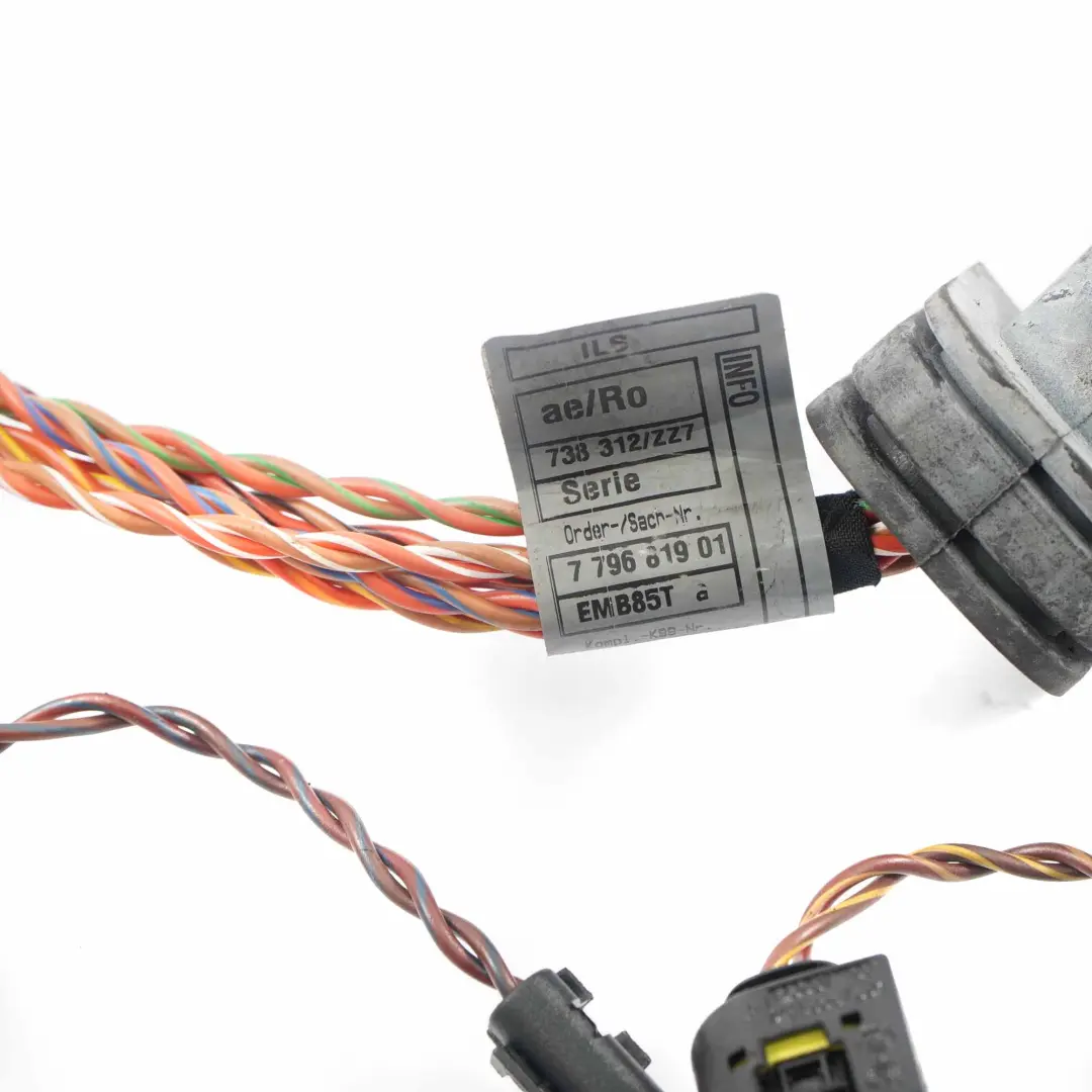 Engine Wiring BMW X5 E53 3.0d M57N Loom Cable Harness Injector Module 7796819 - SKU 7796819-1 - Part number 7796818