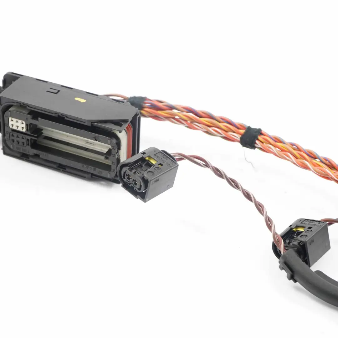 Cablaggio Motore BMW X5 E53 3.0d M57N Cavo Cablaggio Modulo Iniettore 7796819 per con numero di parte 7796818 Cablaggio Motore BMW X5 E53 3.0d M57N Cavo Cablaggio Modulo Iniettore 7796819 - SKU 7796819-1 - Numero di parte 7796818