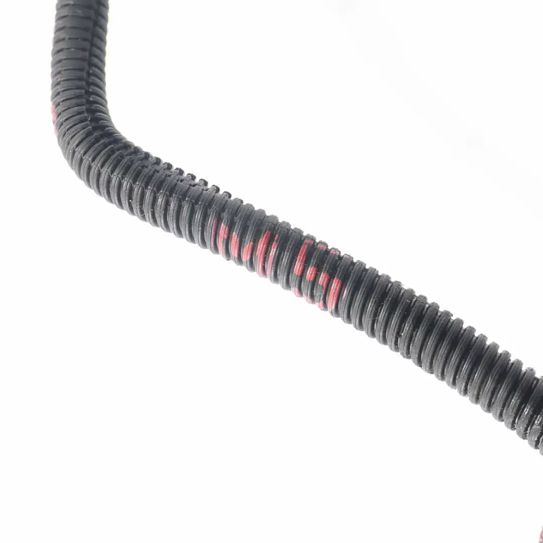 Wiring BMW F10 M5 F13 M6 Valvetronic Servomotor Cable Loom to Engine with Part number 7843338 Engine Wiring BMW F10 M5 F13 M6 Valvetronic Servomotor Cable Loom - SKU 7843338 - Part number 7843338