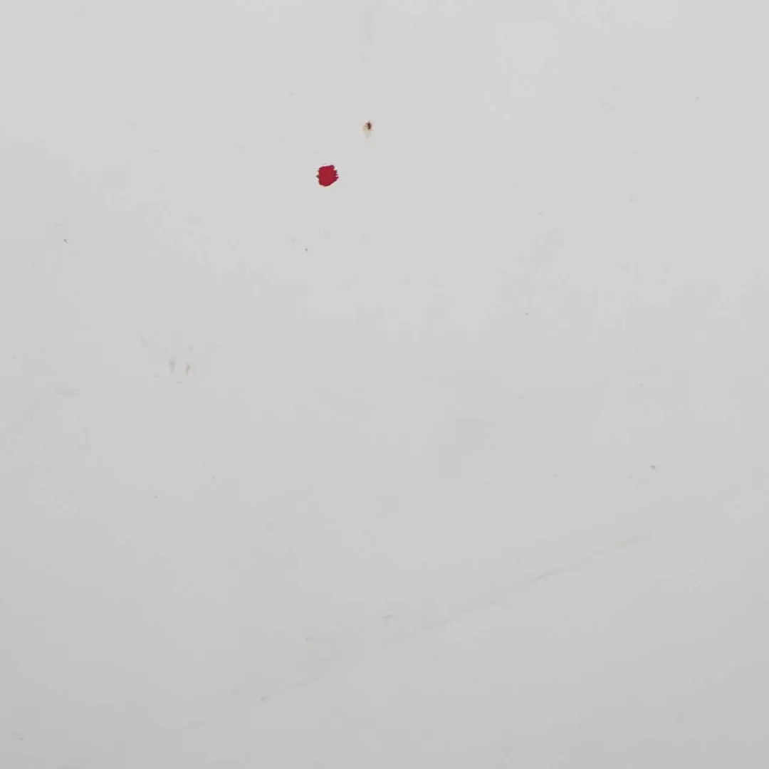  Citroen Berlingo Peugeot Partner II Maska Silnika - SKU 7901P7-BW1 - Numer Części 7901P7