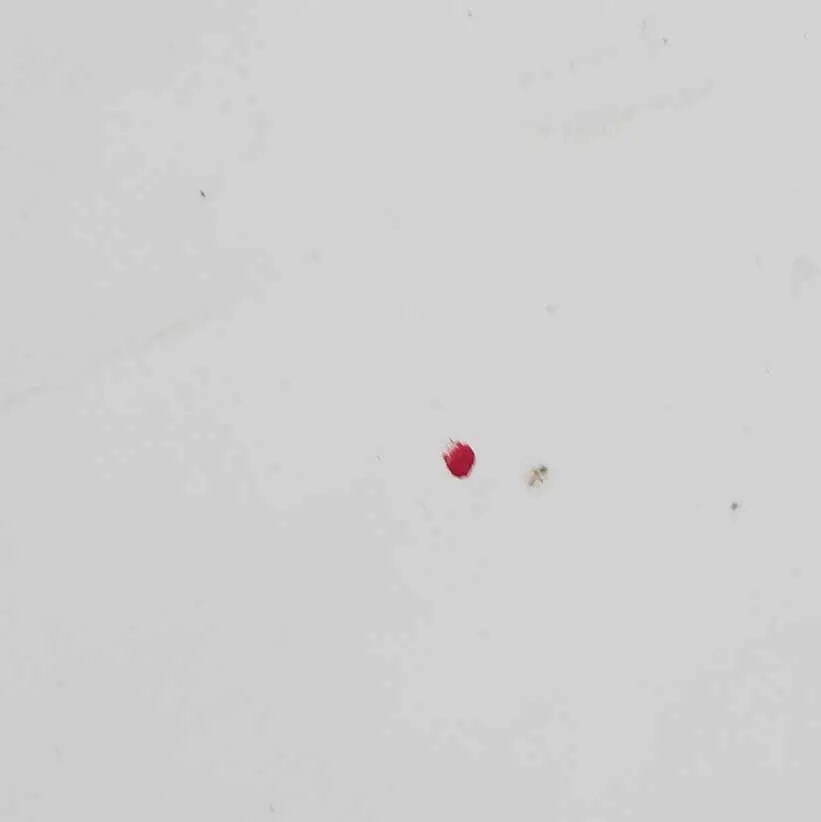  Citroen Berlingo Peugeot Partner II Maska Silnika - SKU 7901P7-BW1 - Numer Części 7901P7