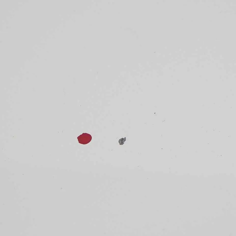 Citroen Jumper III Hood Bonnet Trim Covering Panel Banquise White - EWP to with Part number 7901P7 Citroen Jumper III Hood Bonnet Trim Covering Panel Banquise White - EWP - SKU 7901P7-BW - Part number 7901P7