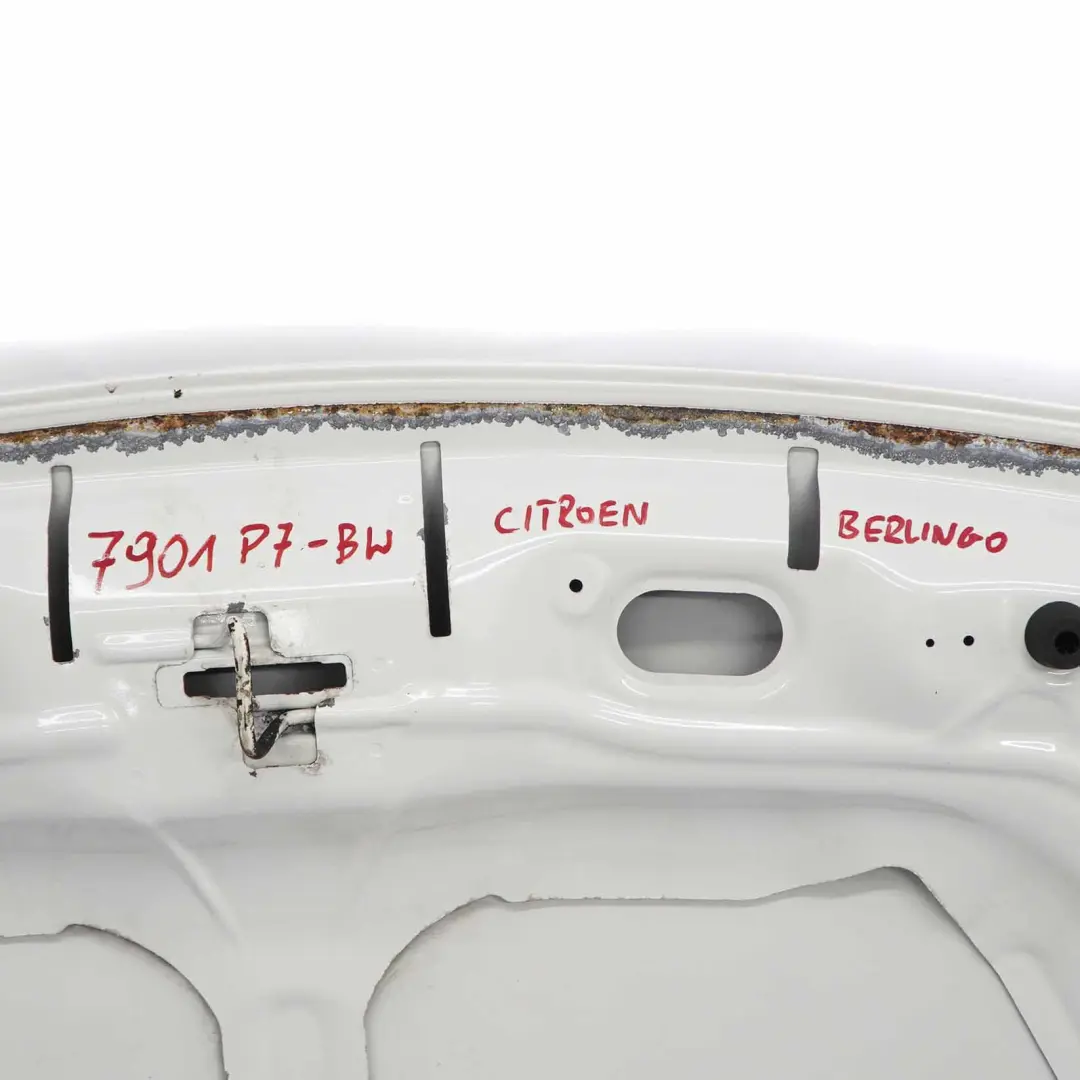  Citroen Jumper III Hood Bonnet Trim Covering Panel Banquise White - EWP - SKU 7901P7-BW - Part number 7901P7