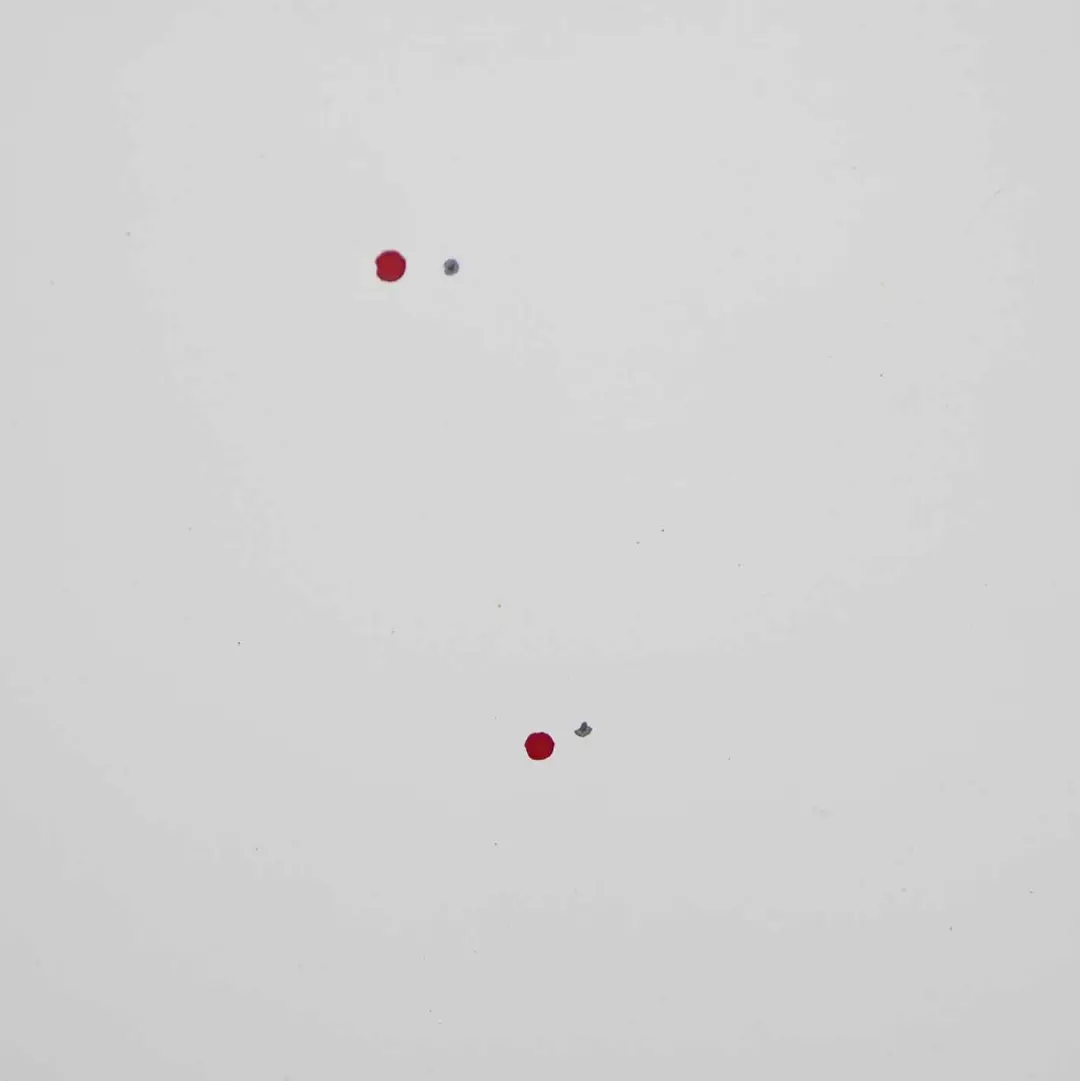  Citroen Jumper III Hood Bonnet Trim Covering Panel Banquise White - EWP - SKU 7901P7-BW - Part number 7901P7