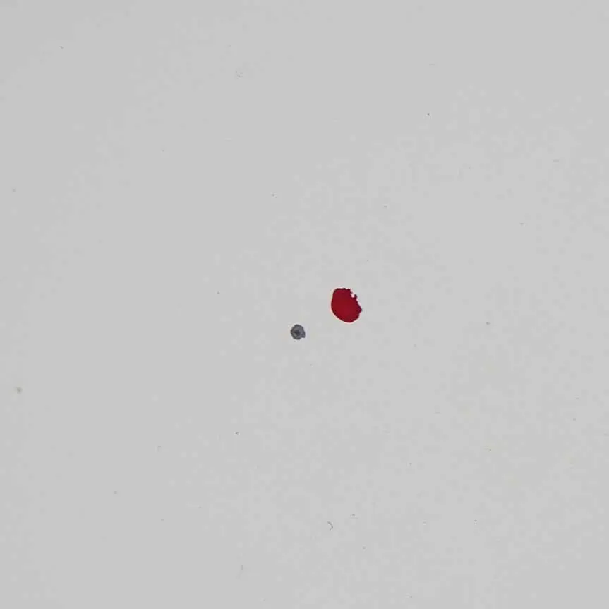  Citroen Jumper III Hood Bonnet Trim Covering Panel Banquise White - EWP - SKU 7901P7-BW - Part number 7901P7