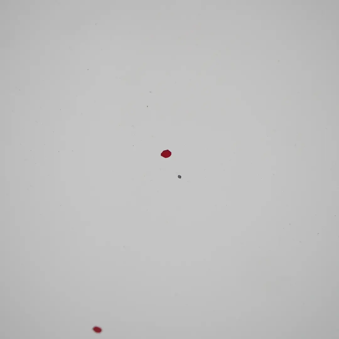  Citroen Berlingo Peugeot Partner II Maska Silnika - SKU 7901P7-BW - Numer Części 7901P7