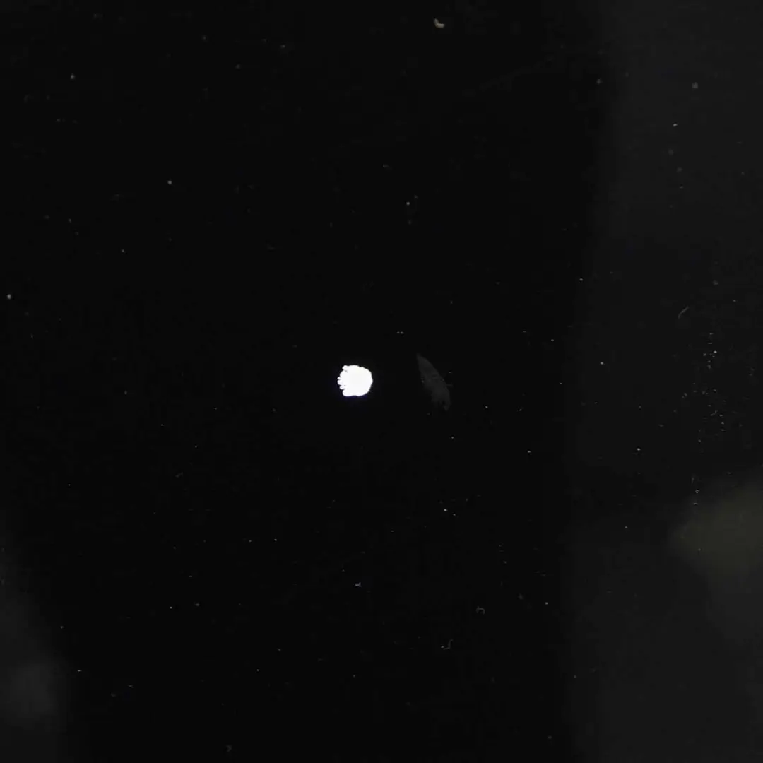 Mk1 Maska Silnika Nero Black - KTV do Peugeot 3008 o numerze 7901Q8 Peugeot 3008 Mk1 Maska Silnika Nero Black - KTV - SKU 7901Q8-NBP - Numer Części 7901Q8