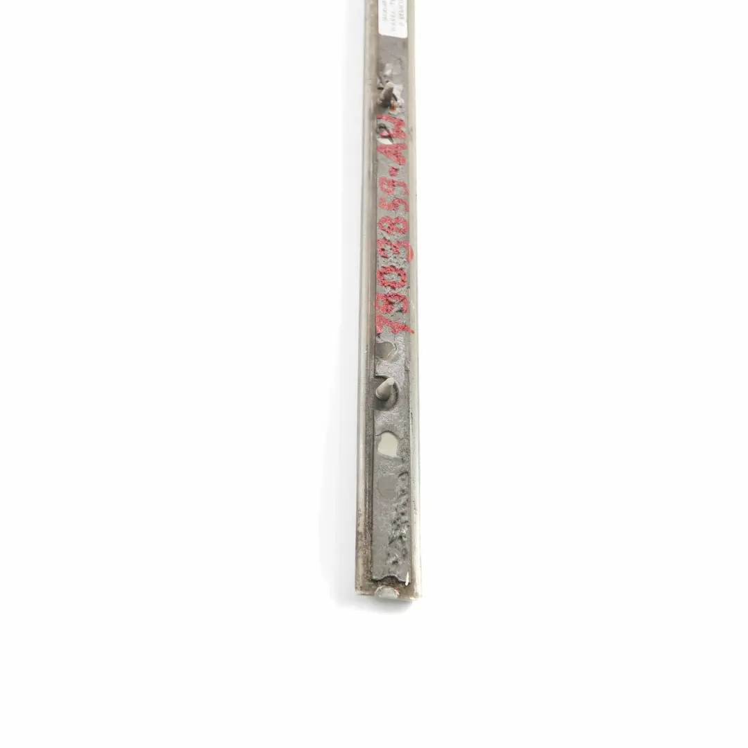BMW X5 E70 Listello Para Urti Portiera Posteriore SX Alpinweiss 3 - 300 - SKU 7903859-AW - Numero di parte 7903859