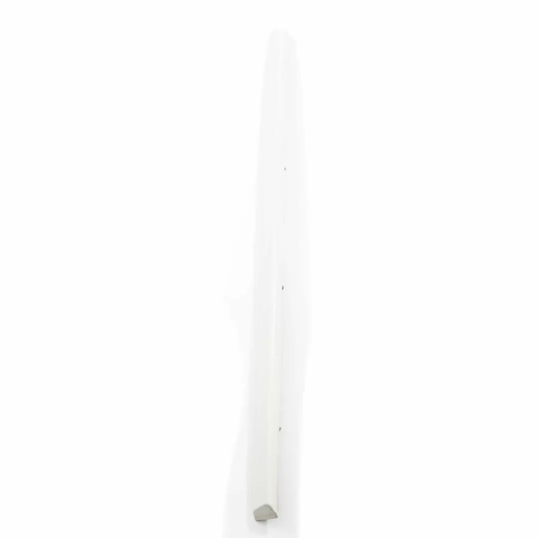  Door Moulding Strip BMW X5 E70 Rear Left N/S Trim Strip Alpinweiss White - 300 - SKU 7903859-AW - Part number 7903859