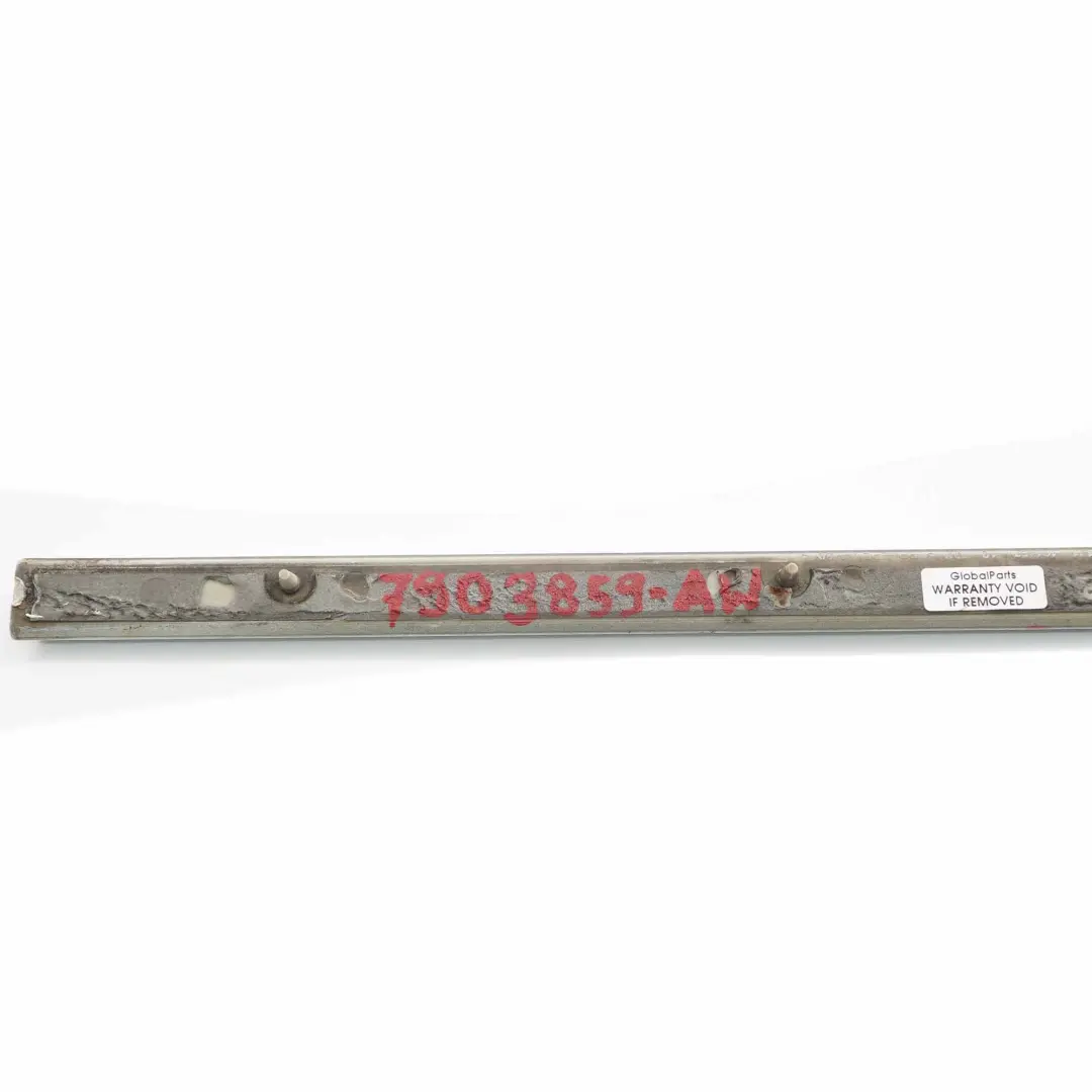  Door Moulding Strip BMW X5 E70 Rear Left N/S Trim Strip Alpinweiss White - 300 - SKU 7903859-AW - Part number 7903859
