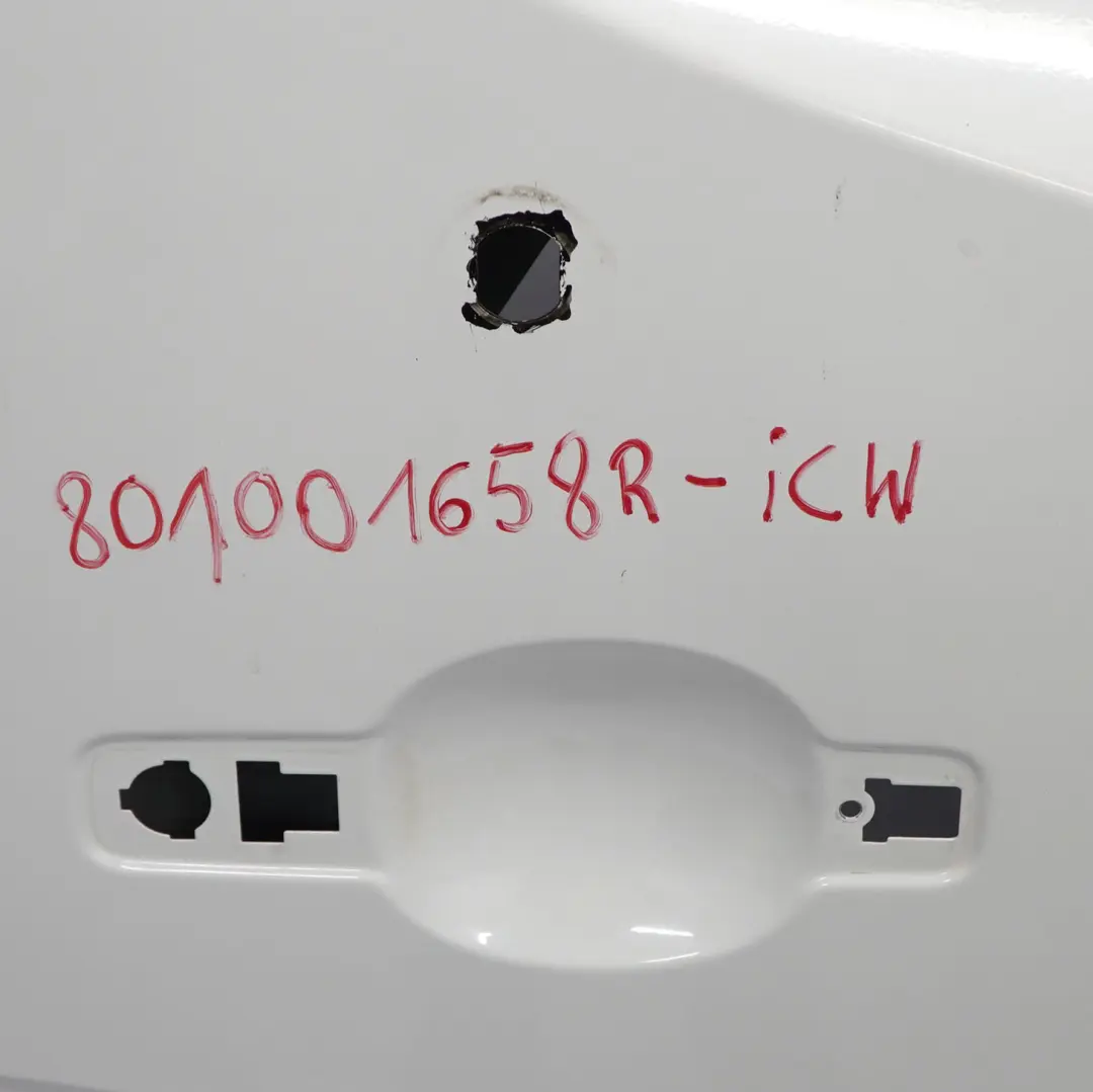Drzwi Lewe Przednie Panel Drzwi Ice White - 389 do Renault Master III o numerze 801001658R Renault Master III Drzwi Lewe Przednie Panel Drzwi Ice White - 389 - SKU 801001658R-ICW - Numer Części 801001658R