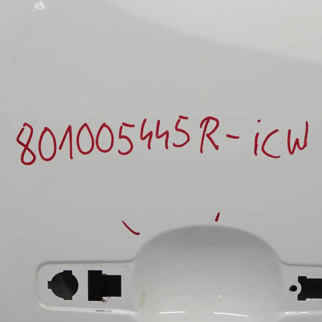 Mk3 Front Door Right O/S Door Cover Shell Ice White - 389 to Renault Trafic with Part number 801005445 Renault Trafic Mk3 Front Door Right O/S Door Cover Shell Ice White - 389 - SKU 801005445-ICW - Part number 801005445