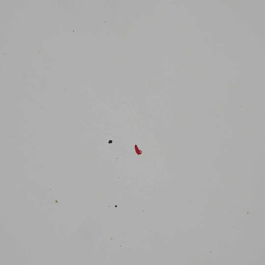 Drzwi Lewe Przednie Ice White do Renault Trafic III o numerze 801010179R Renault Trafic III Drzwi Lewe Przednie Ice White - SKU 801010179R-ICW - Numer Części 801010179R