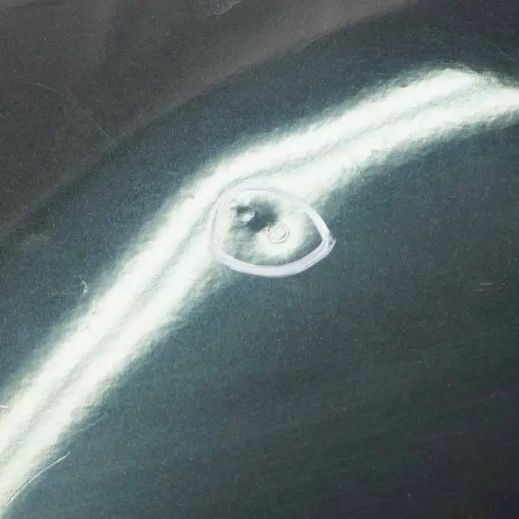 Bumper Panel BMW X5 E70 M Sport Left N/S Lateral Trim Black Sapphire - 475 to Rear with Part number 8037281 Rear Bumper Panel BMW X5 E70 M Sport Left N/S Lateral Trim Black Sapphire - 475 - SKU 8037281-BS2 - Part number 8037281