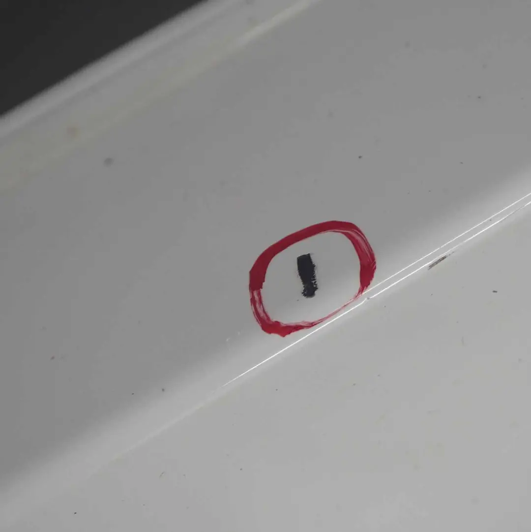 Side Skirt BMW X5 E70 M Sport Sill Strip Left N/S Alpinweiss Alpine White - 300 - SKU 8037289-AW1 - Part number 8037289