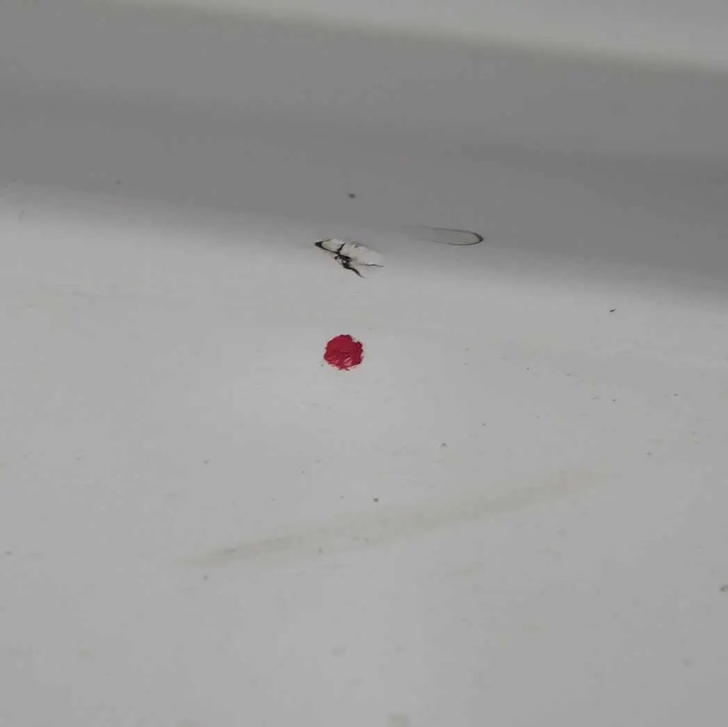 Bande de Seuil Latérale Gauche Alpinweiss - 300 pour BMW X5 E70 M Sport à propos du numéro de pièce 8037289 BMW X5 E70 M Sport Bande de Seuil Latérale Gauche Alpinweiss - 300 - SKU 8037289-AW1 - Numéro de pièce 8037289