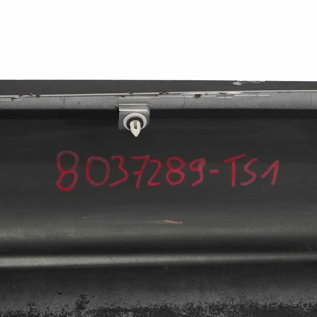 BMW X5 E70 M Sport Sill Strip Side Skirt Sinistro Titansilber Titan Silver 354 - SKU 8037289-TS1 - Numero di parte 8037289