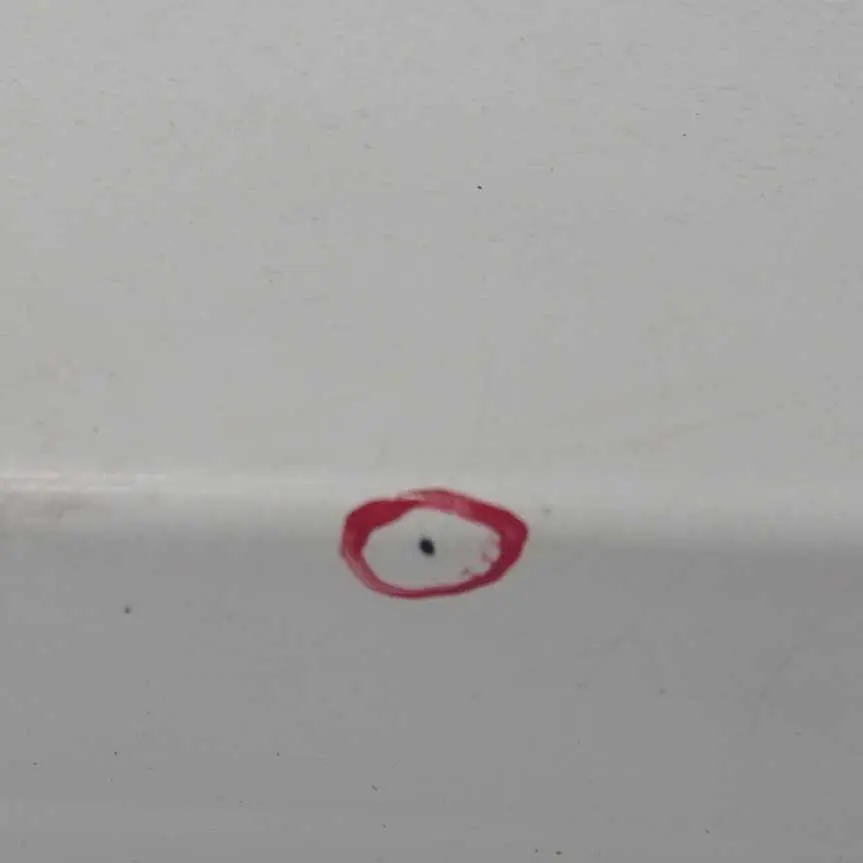 BMW X5 E70 Gonna Laterale M Sport Copertura Destra Alpinweiss 3 - 300 - SKU 8037290-AW2 - Numero di parte 8037290