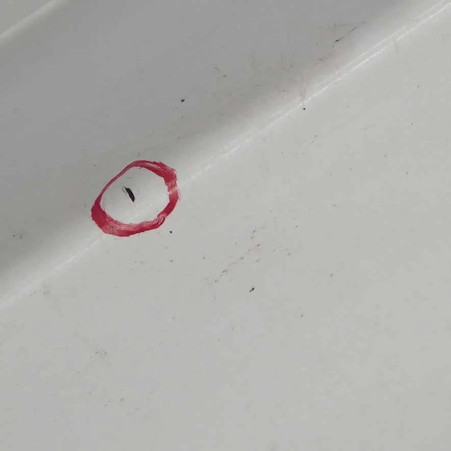 Gonna Laterale M Sport Copertura Destra Alpinweiss 3 - 300 per BMW X5 E70 con numero di parte 8037290 BMW X5 E70 Gonna Laterale M Sport Copertura Destra Alpinweiss 3 - 300 - SKU 8037290-AW2 - Numero di parte 8037290