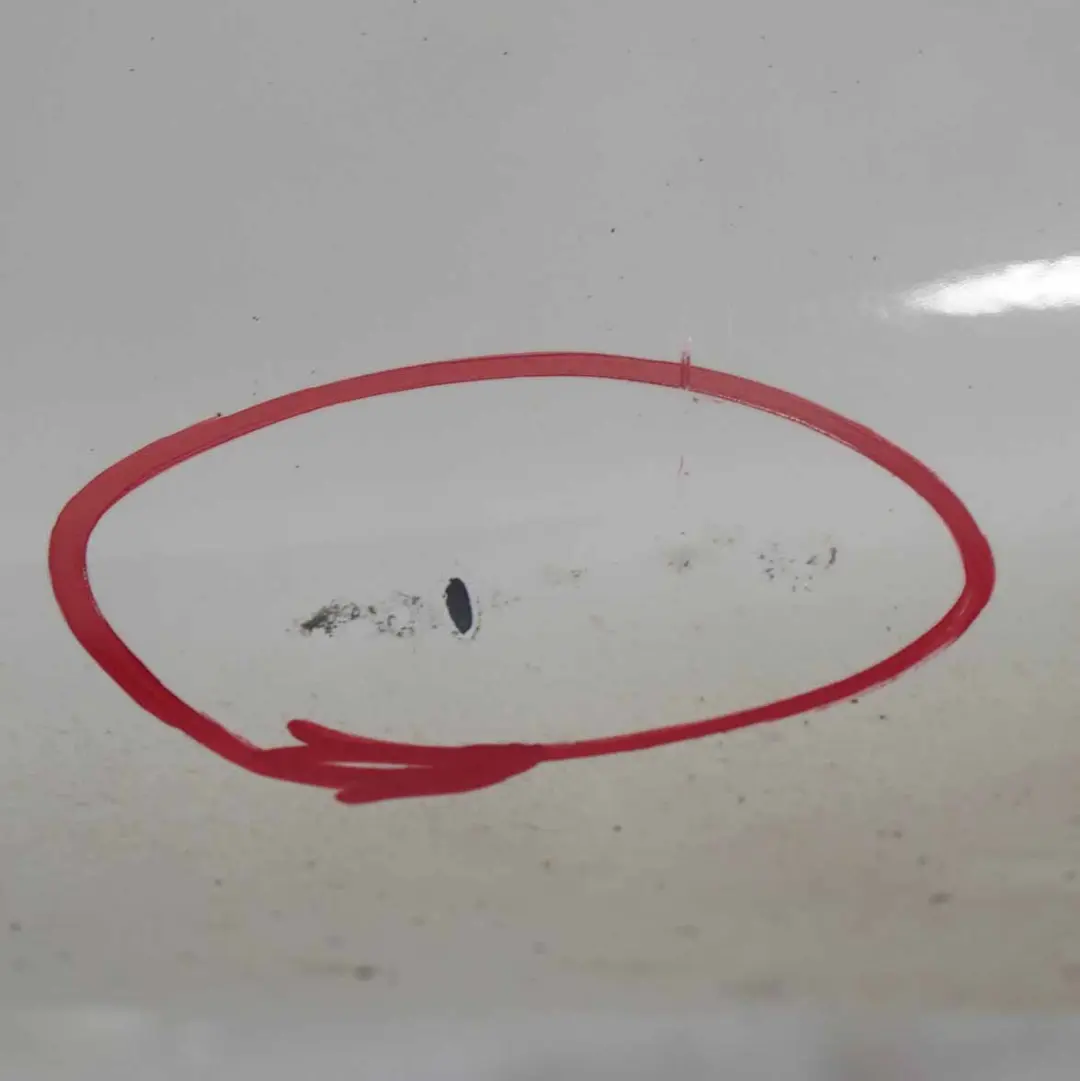 Próg Nakładka Listwa Prawa Alpinweiss 3 do BMW X5 E70 o numerze 8037290 BMW X5 E70 Próg Nakładka Listwa Prawa Alpinweiss 3 - SKU 8037290-AW2 - Numer Części 8037290