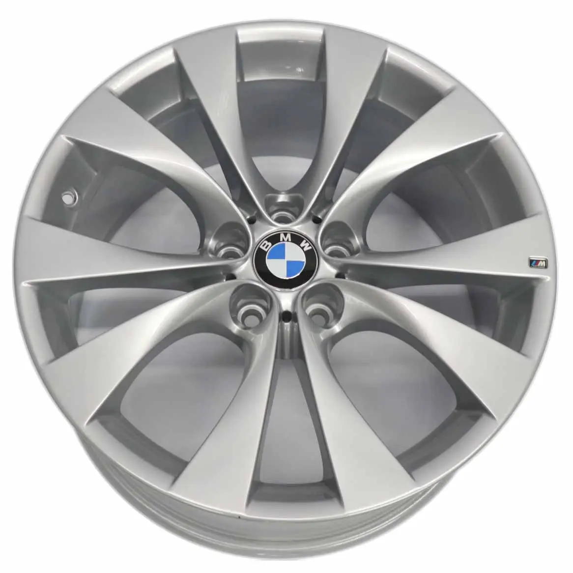 BMW X5 E70 Argento Cerchio anteriore in lega 20" M V-spoke 227 10J ET:40 8037349