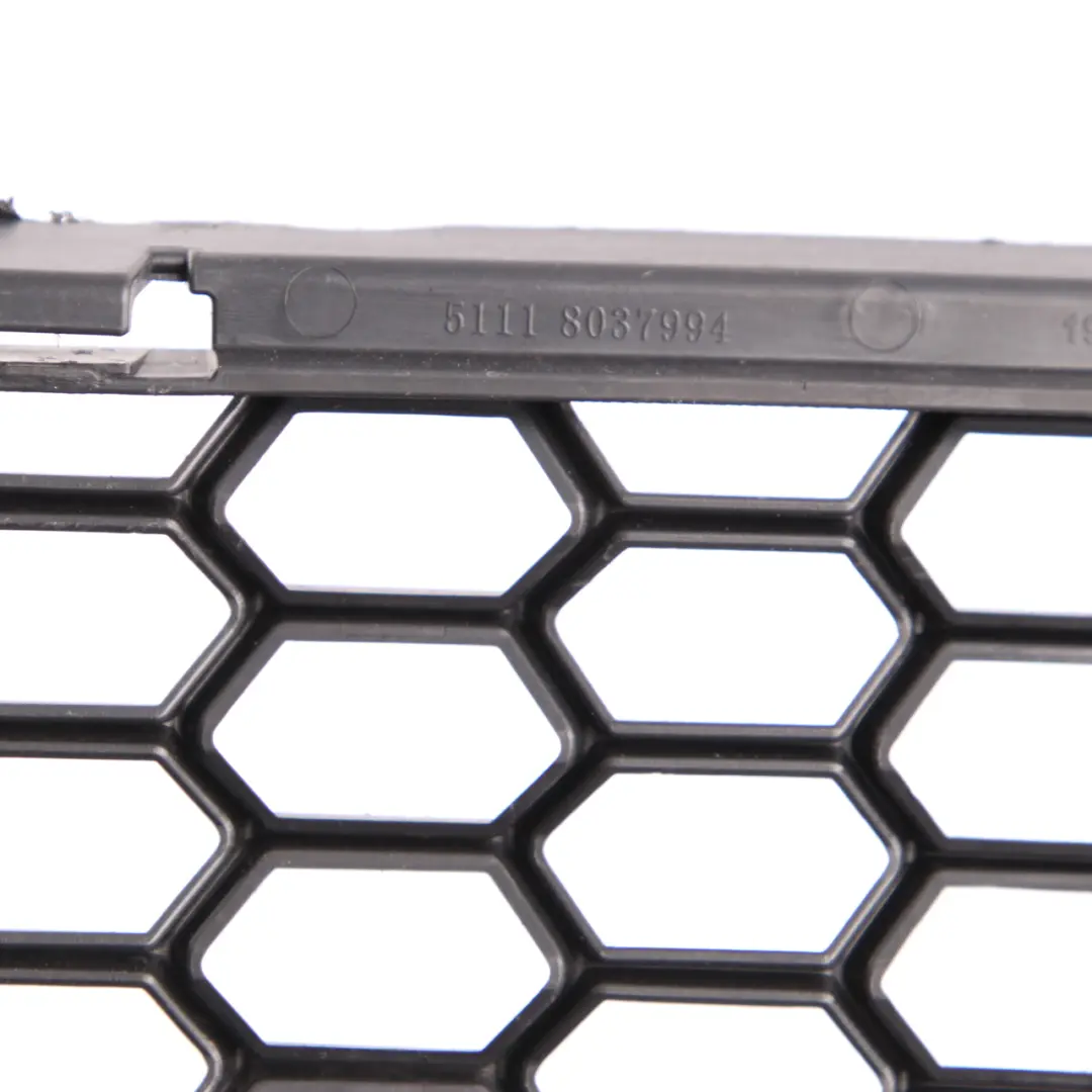BMW X1 E84 M Sport Bottom Front Bumper Grill Grille Cover Centre Middle - SKU 8037994-1 - Part number 8037994