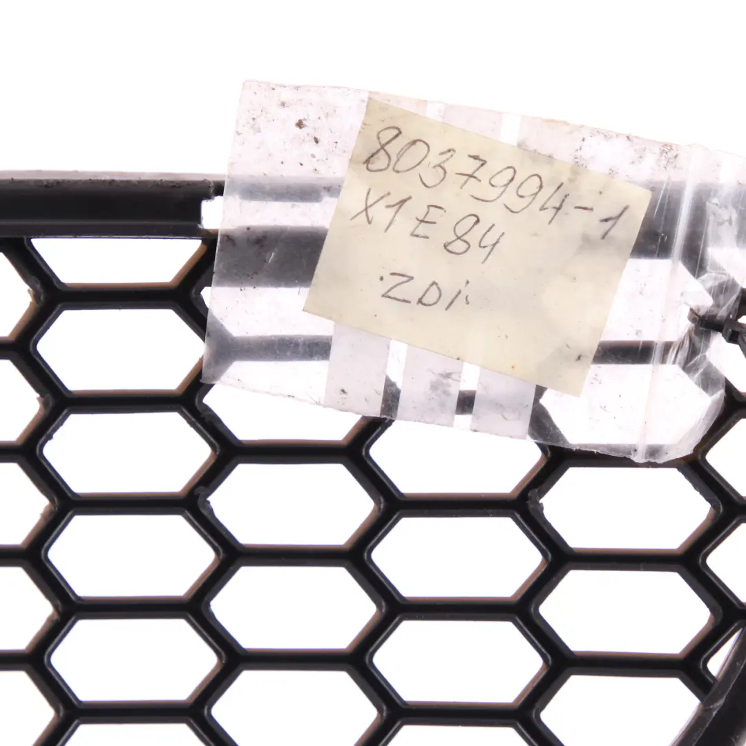 BMW X1 E84 M Sport Bottom Front Bumper Grill Grille Cover Centre Middle - SKU 8037994-1 - Part number 8037994