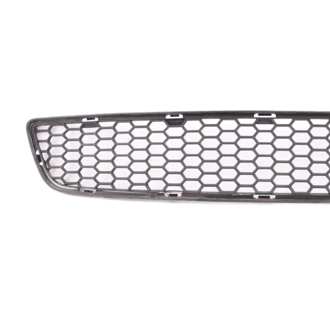 BMW X1 E84 M Paket Stossfänger Vorn Gitter Mitte Unten - SKU 8037994 - Teilenummer 8037994