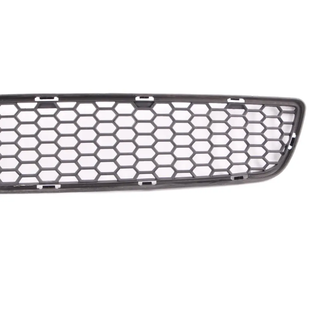 BMW X1 E84 M Paket Stossfänger Vorn Gitter Mitte Unten - SKU 8037994 - Teilenummer 8037994
