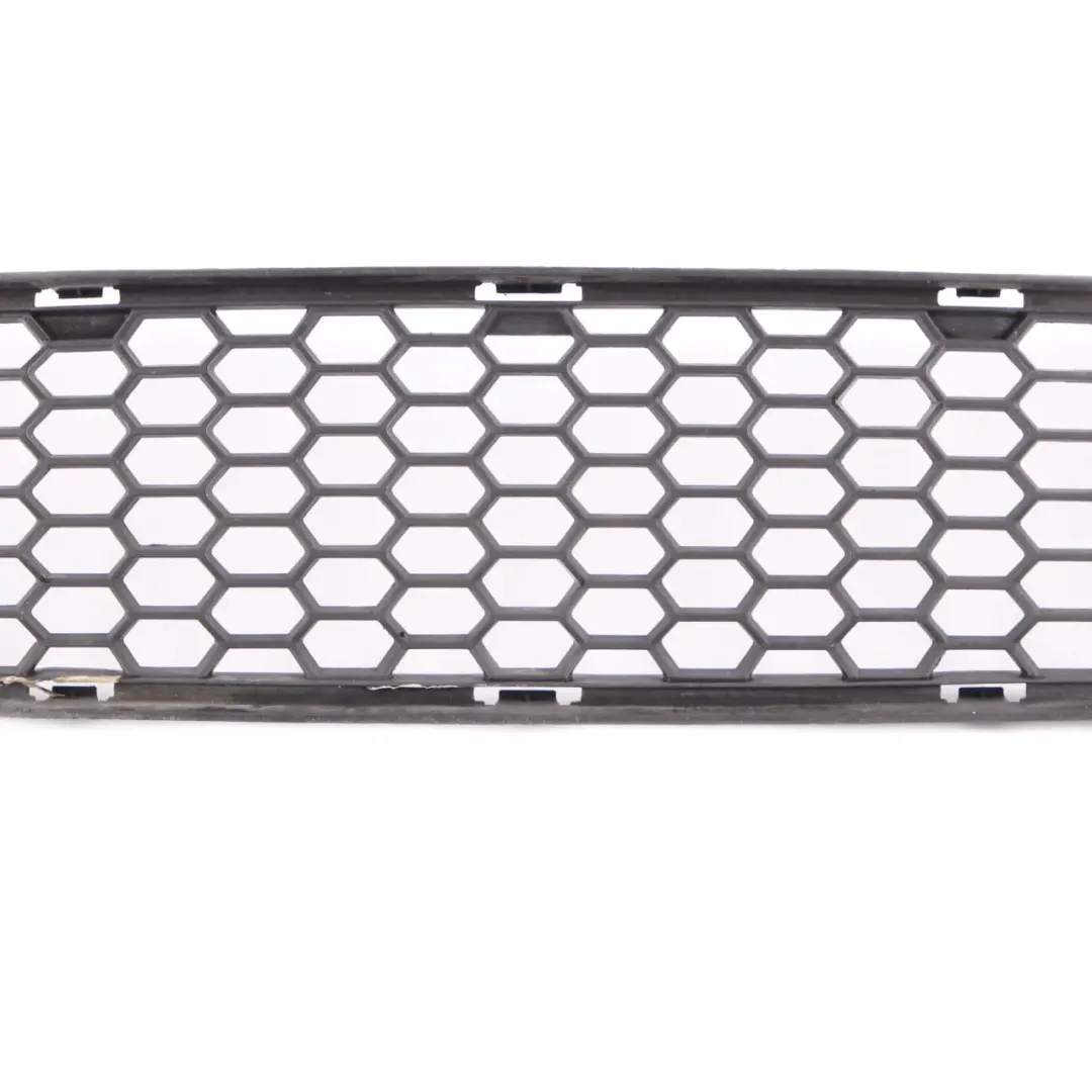 BMW X1 E84 M Paket Stossfänger Vorn Gitter Mitte Unten - SKU 8037994 - Teilenummer 8037994