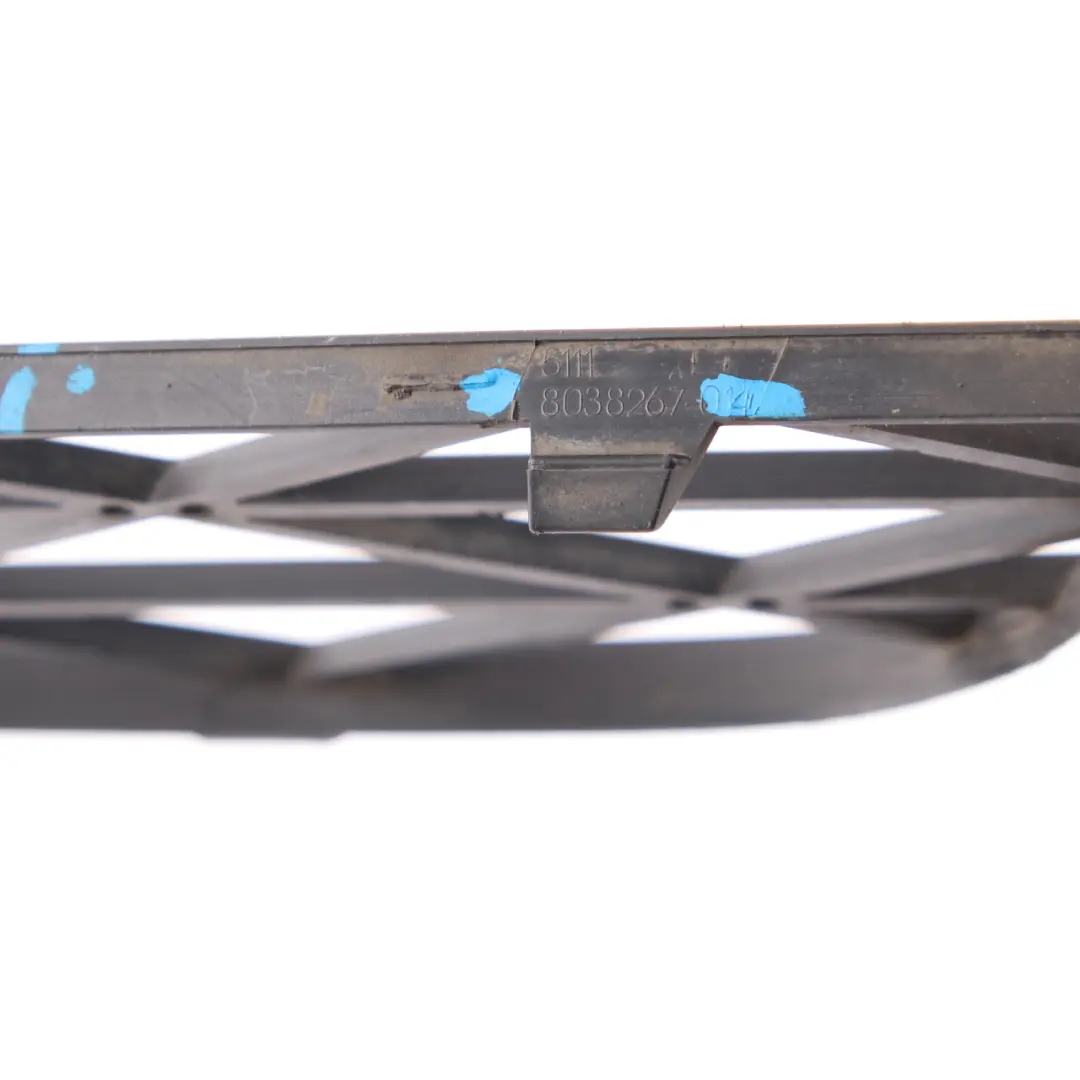 Front Bumper Partially Open Grid Grille Left N/S to BMW X5 E70 M Sport with Part number 8038267 BMW X5 E70 M Sport Front Bumper Partially Open Grid Grille Left N/S - SKU 8038267 - Part number 8038267