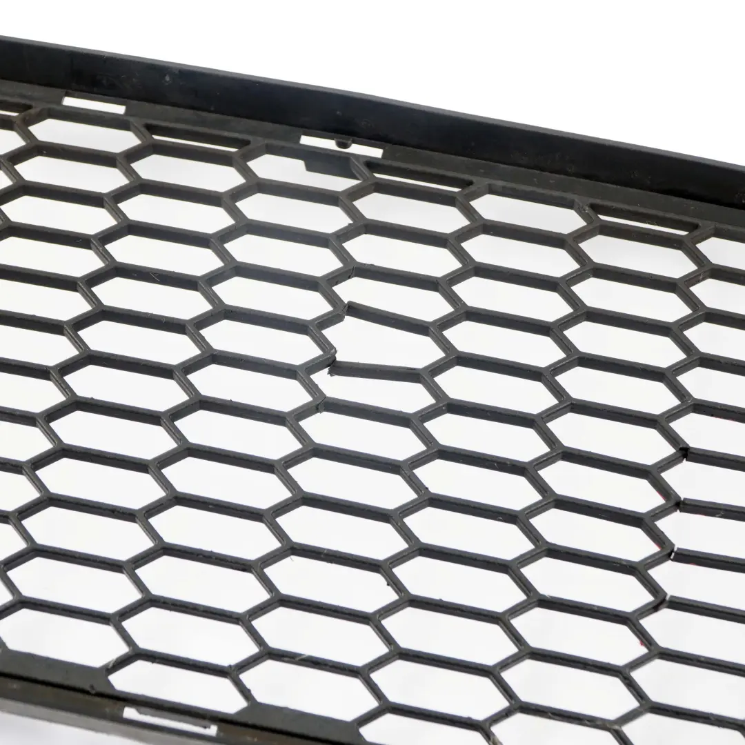 BMW 3 Series E92 E93 1 M Sport Front Bumper Centre Grille Trim Vent - SKU 8041179-1 - Part number 8041179