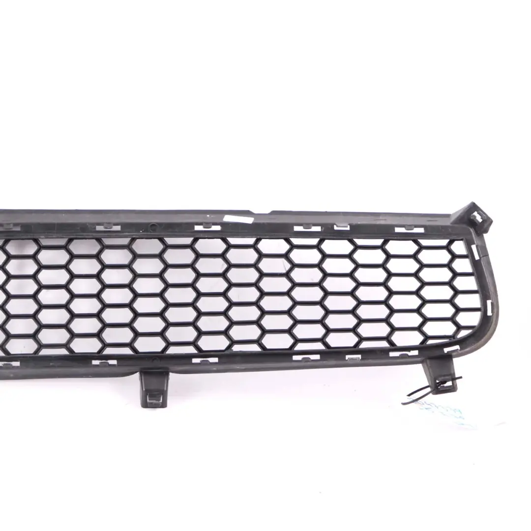 BMW X5 E70 Front Bumper M Sport Lower Centre Grille Grid Front Trim - SKU 8047339 - Part number 8047339