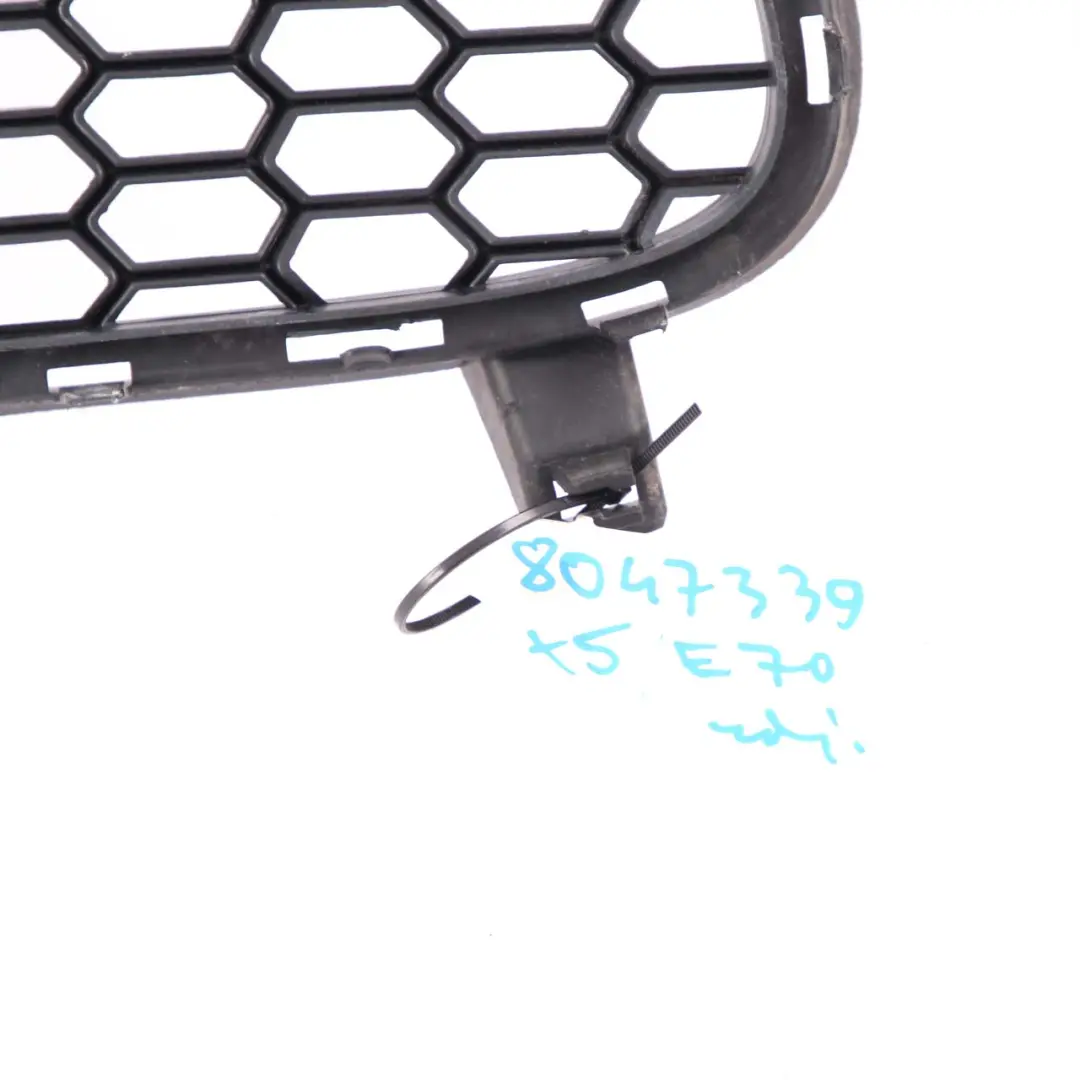 BMW X5 E70 Parachoques Delantero M Sport Rejilla Inferior Delantero - SKU 8047339 - Número de pieza 8047339