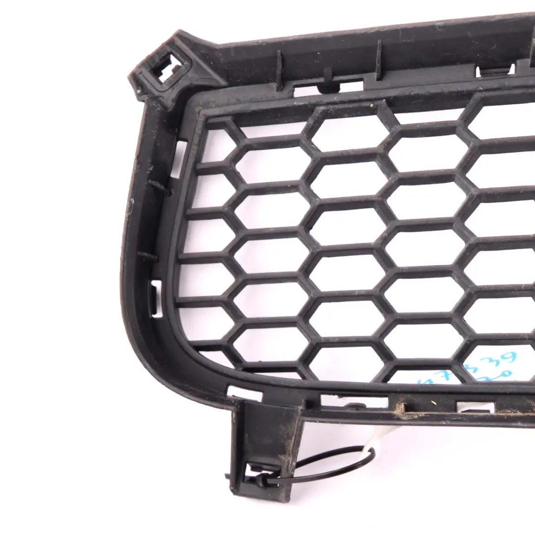 Front Bumper M Sport Lower Centre Grille Grid Front Trim to BMW X5 E70 with Part number 8047339 BMW X5 E70 Front Bumper M Sport Lower Centre Grille Grid Front Trim - SKU 8047339 - Part number 8047339