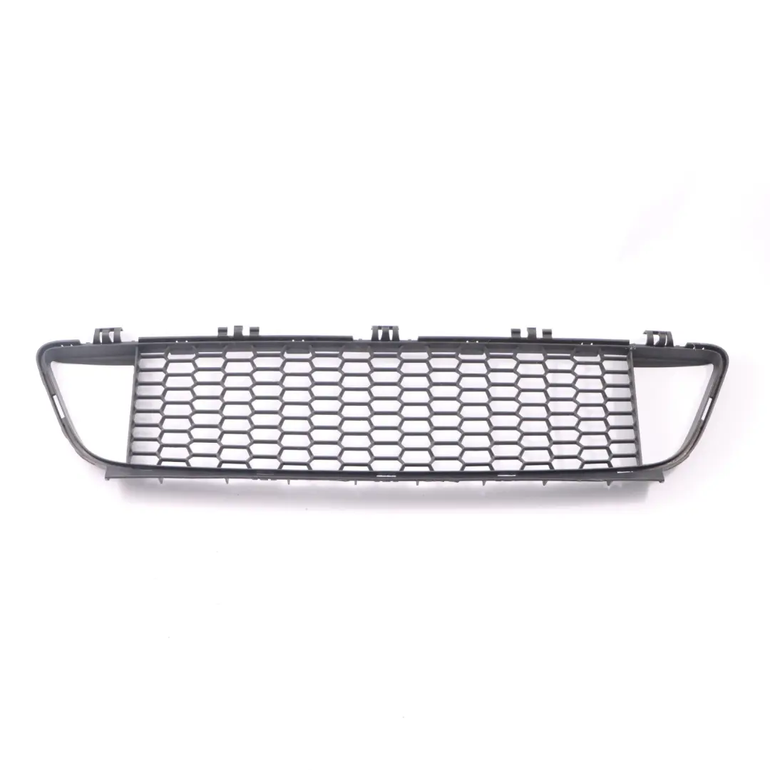 BMW F20 F21 Frontstoßstange Gitter Gitter Zierleiste Mitte - SKU 8048969 - Teilenummer 8048969