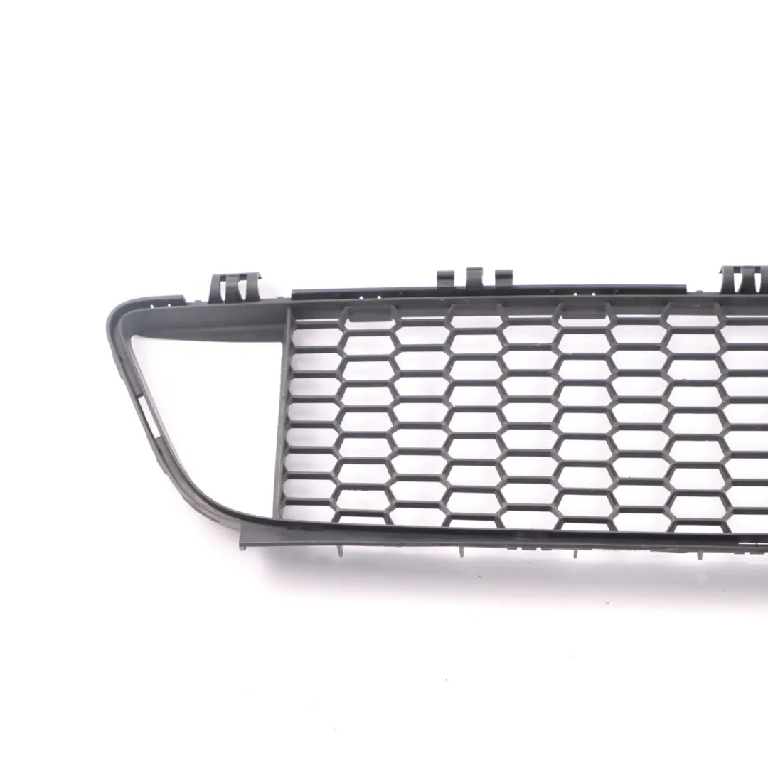 BMW F20 F21 Frontstoßstange Gitter Gitter Zierleiste Mitte - SKU 8048969 - Teilenummer 8048969