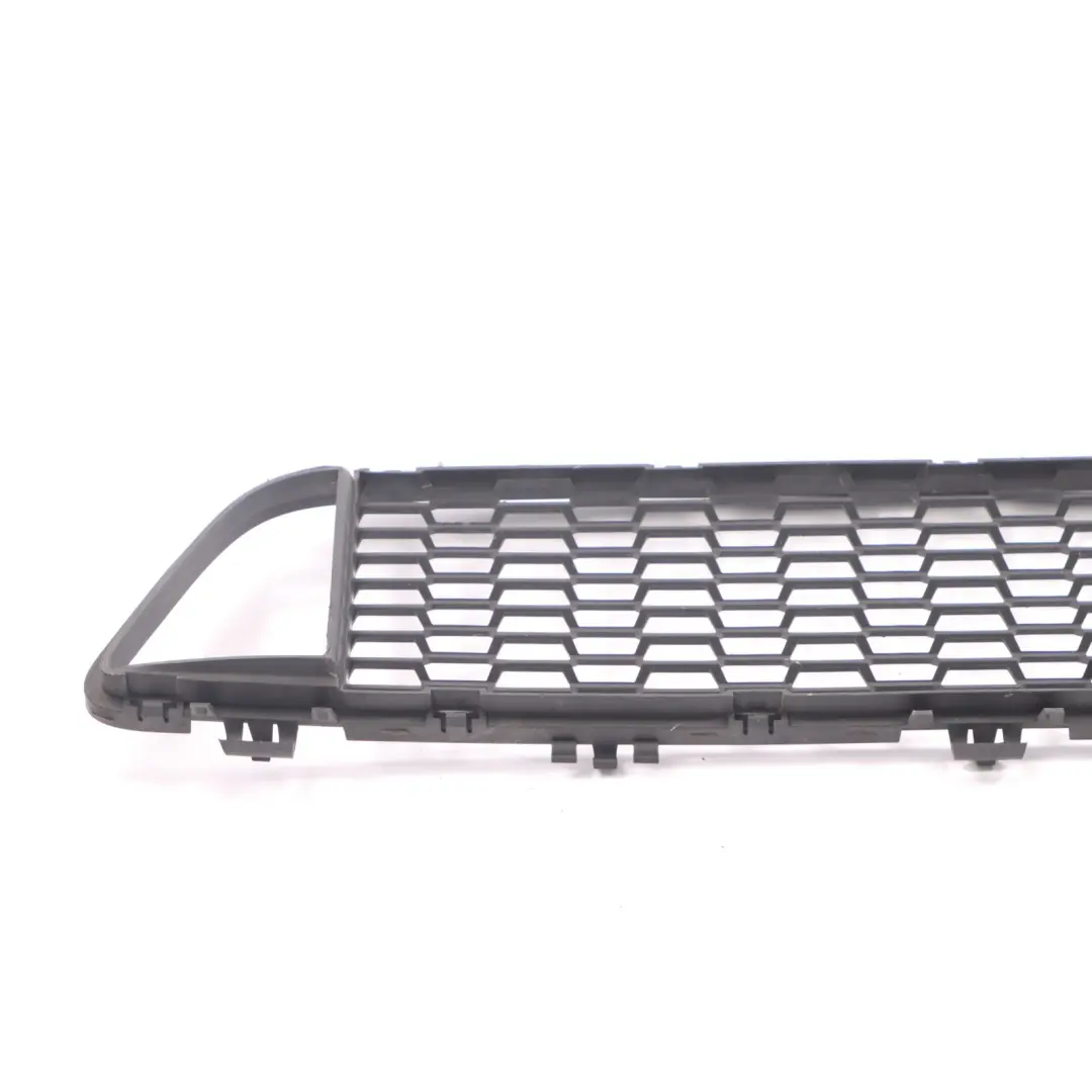 BMW F20 F21 Frontstoßstange Gitter Gitter Zierleiste Mitte - SKU 8048969 - Teilenummer 8048969