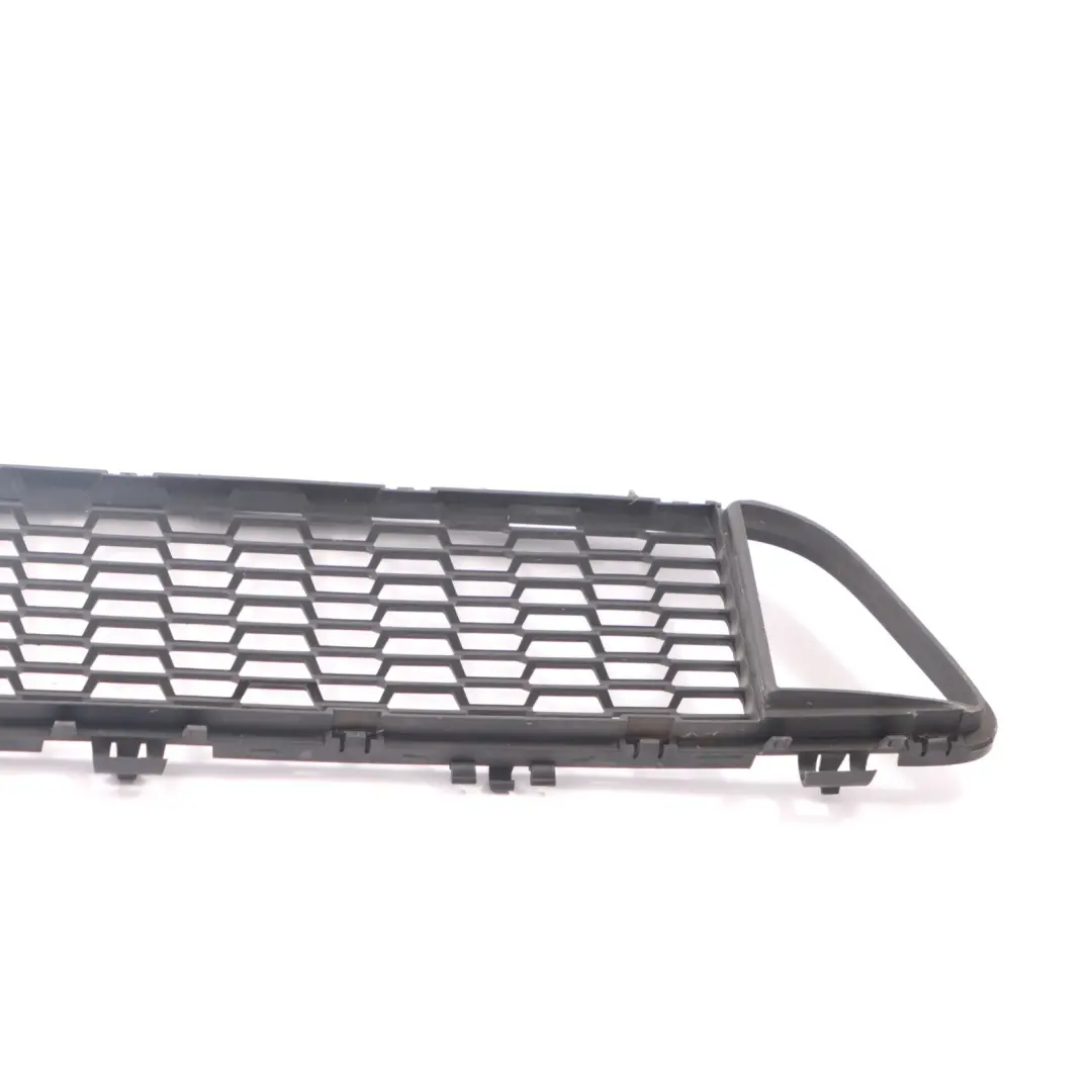 BMW F20 F21 Frontstoßstange Gitter Gitter Zierleiste Mitte - SKU 8048969 - Teilenummer 8048969