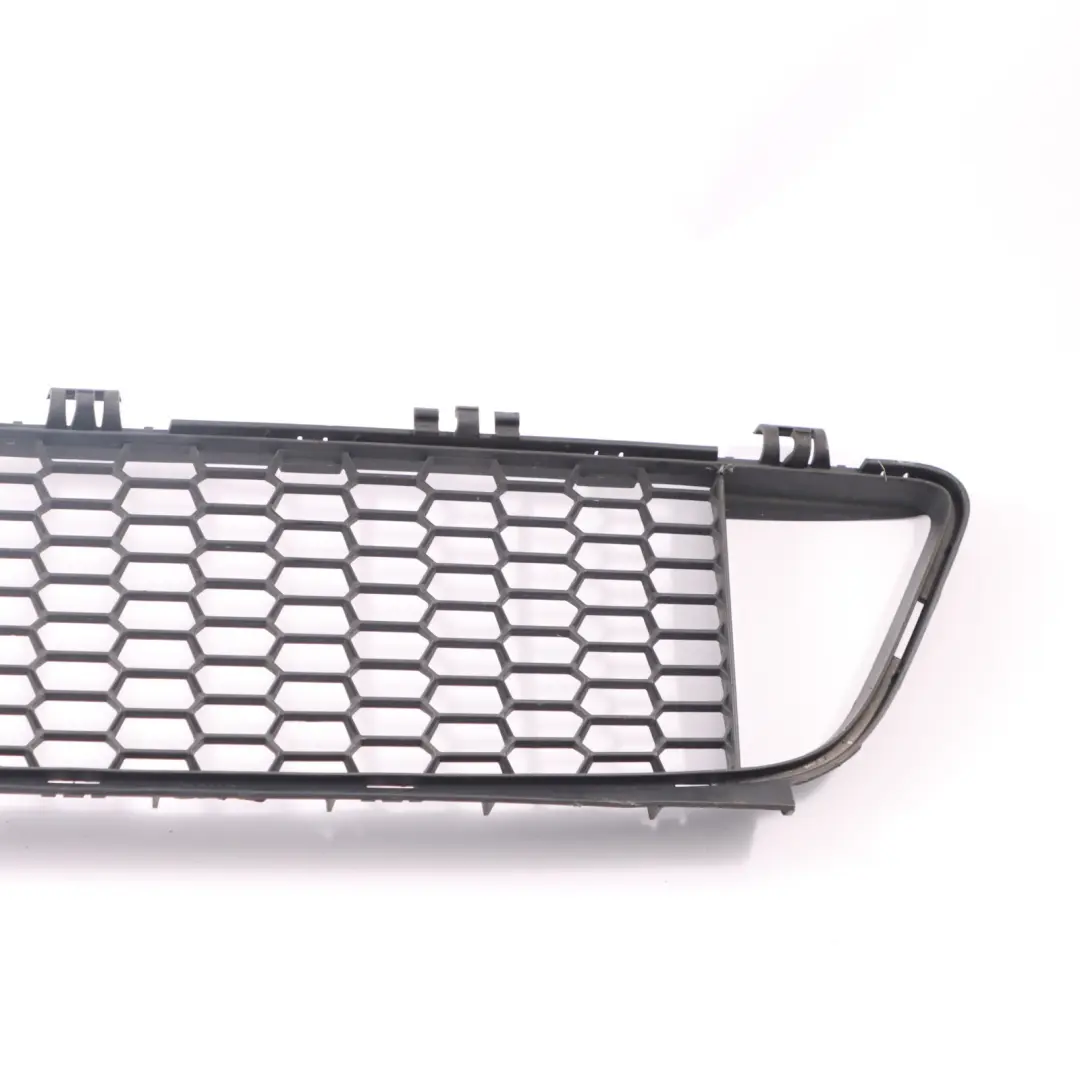 BMW F20 F21 Front Stoßstange Gitter Gitter Zierleiste Mitte - SKU 8048969 - Teilenummer 8048969
