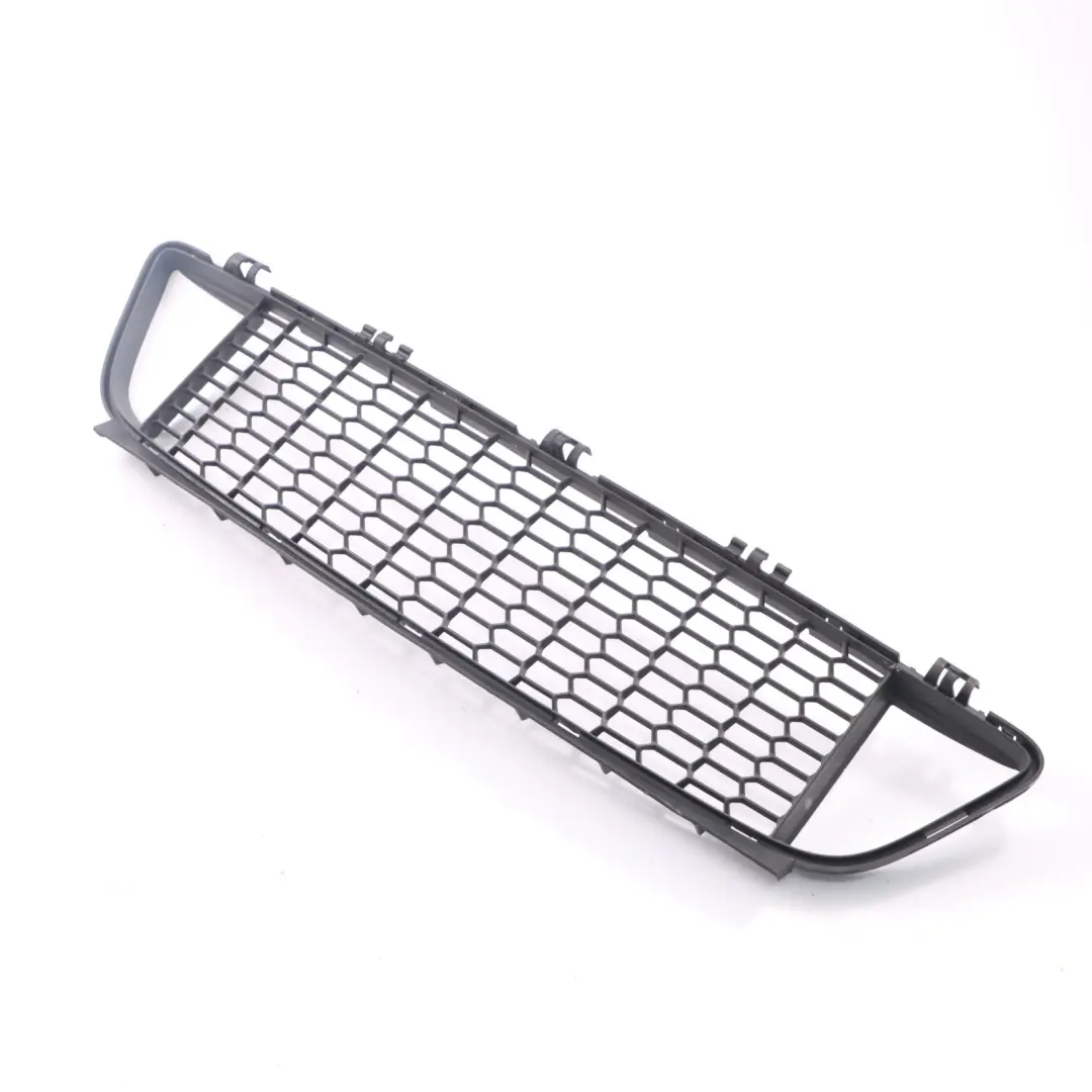 BMW F20 F21 Front Stoßstange Gitter Gitter Zierleiste Mitte - SKU 8048969 - Teilenummer 8048969
