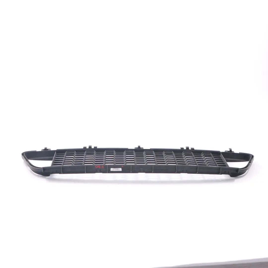 BMW F20 F21 Front Stoßstange Gitter Gitter Zierleiste Mitte - SKU 8048969 - Teilenummer 8048969