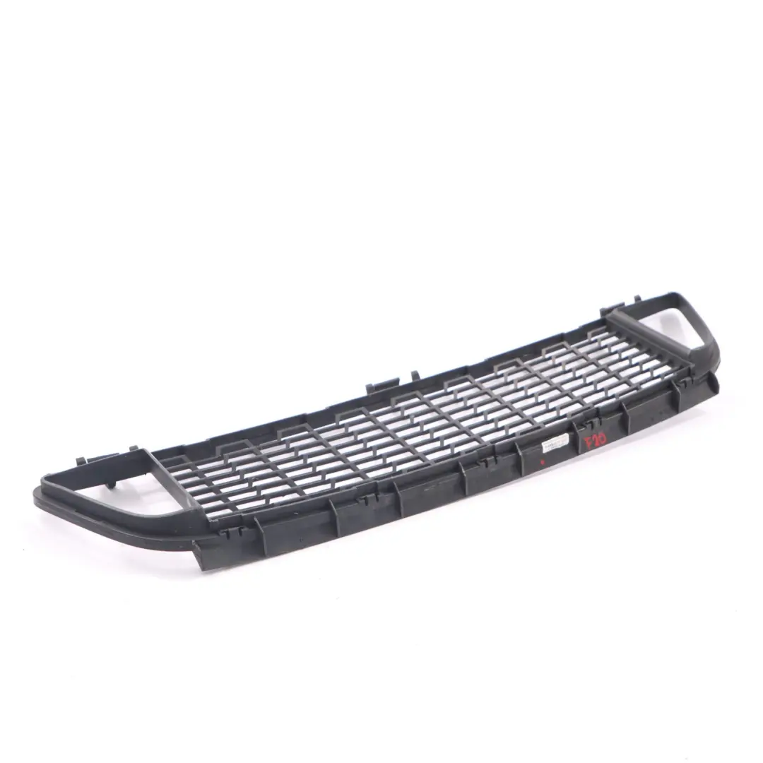 BMW F20 F21 Front Stoßstange Gitter Gitter Zierleiste Mitte - SKU 8048969 - Teilenummer 8048969