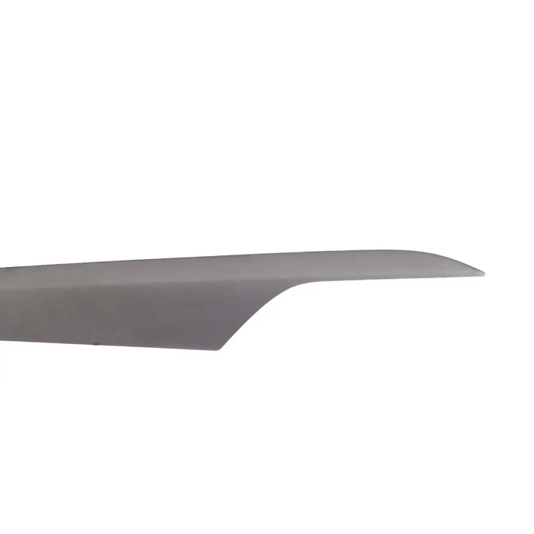 BMW X1 E84 Decor Strip Trim Cover Panel Left N/S Door Honed Aluminium - SKU 8049411 - Part number 8049411