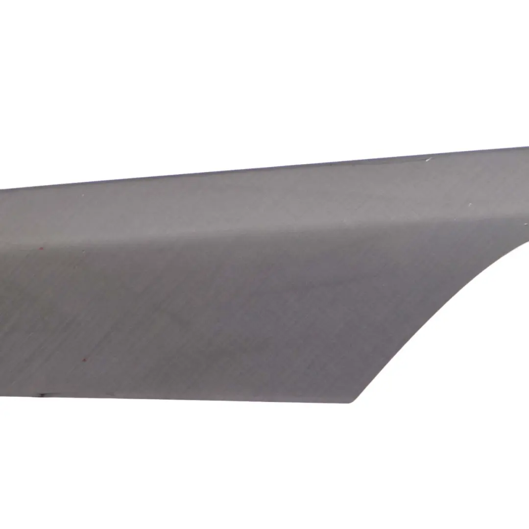 Banda Decorativa Panel Puerta Izquierda Bruñido para BMW X1 E84 con número de pieza 8049411 BMW X1 E84 Banda Decorativa Panel Puerta Izquierda Bruñido - SKU 8049411 - Número de pieza 8049411